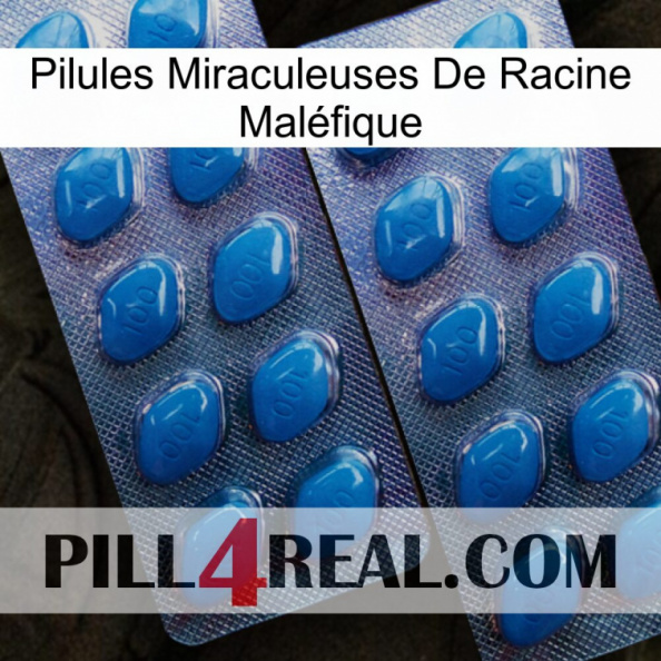 Pilules Miraculeuses De Racine Maléfique viagra2